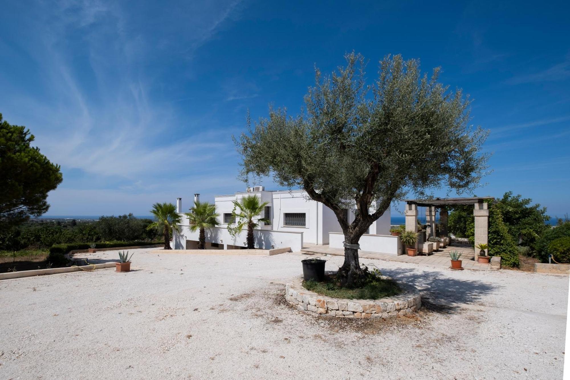 Il Carrubo Villa Polignano a Mare Bagian luar foto